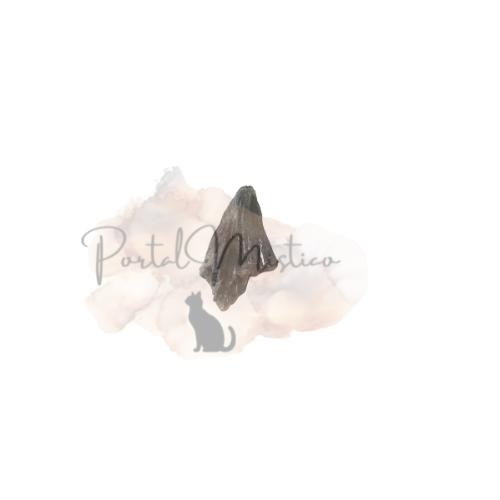 Escoba de Bruja pequeña