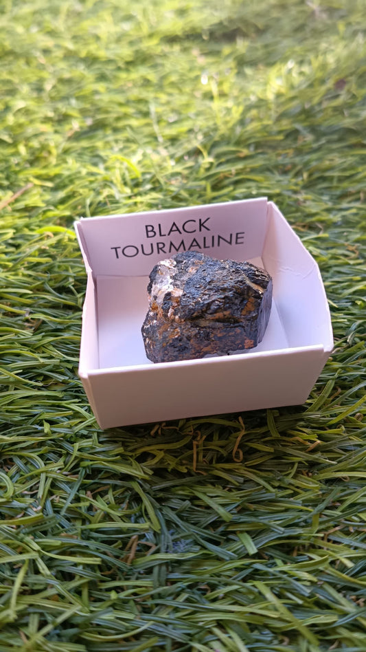 Turmalina Negra en Bruto Calidad B - Protección y Enraizamiento
